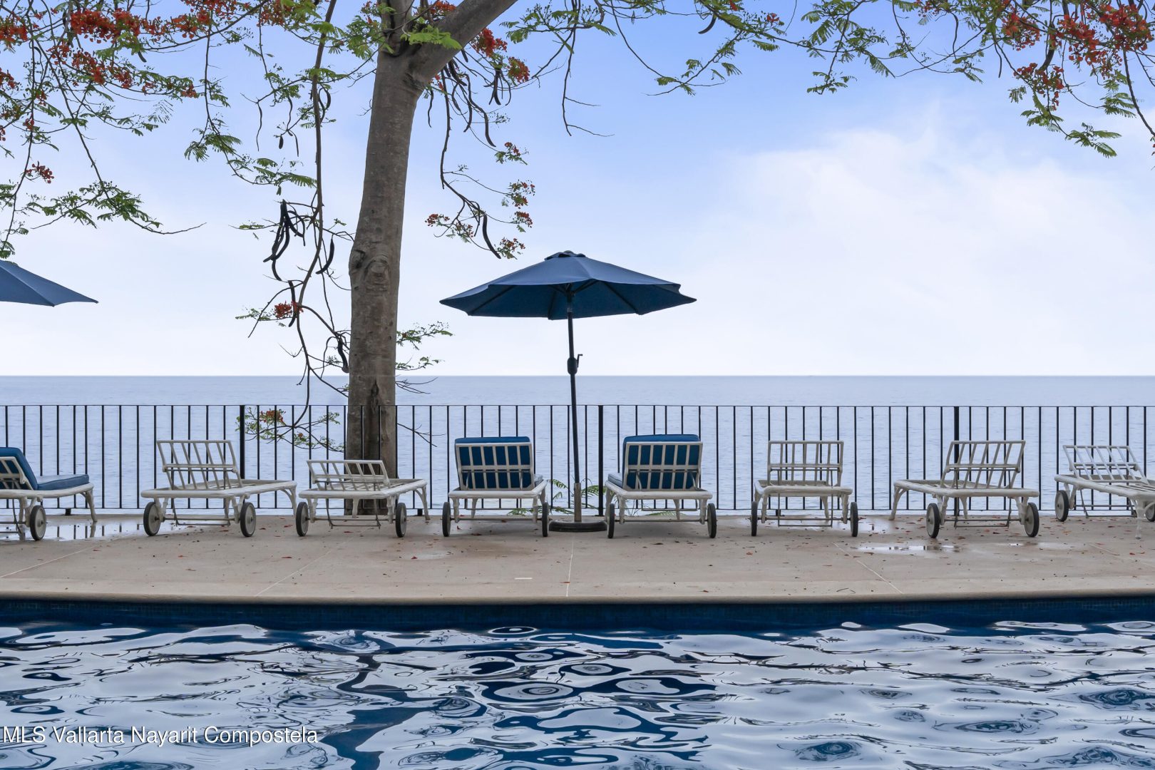 20250609223601987613000000-o