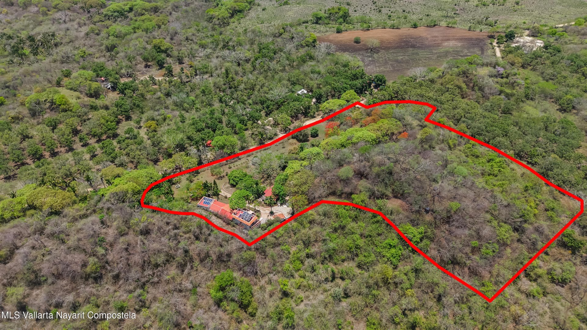 20250626024409238175000000-o