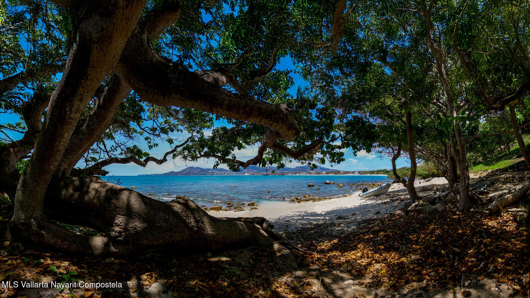 20250708230610925301000000-o