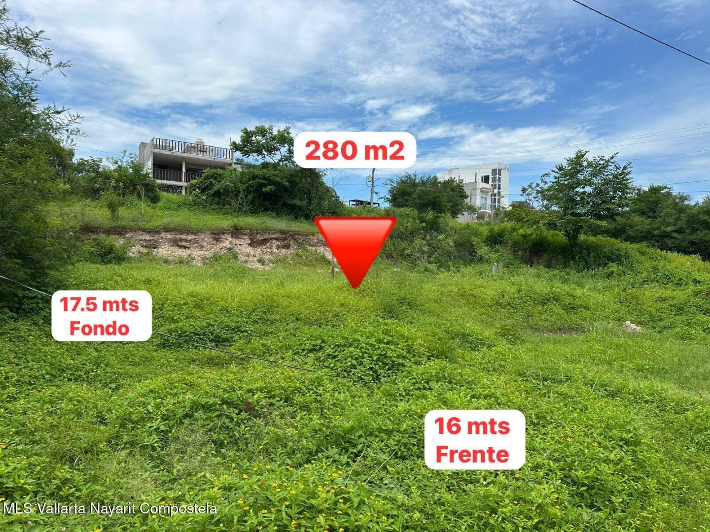 20250801224005930331000000-o