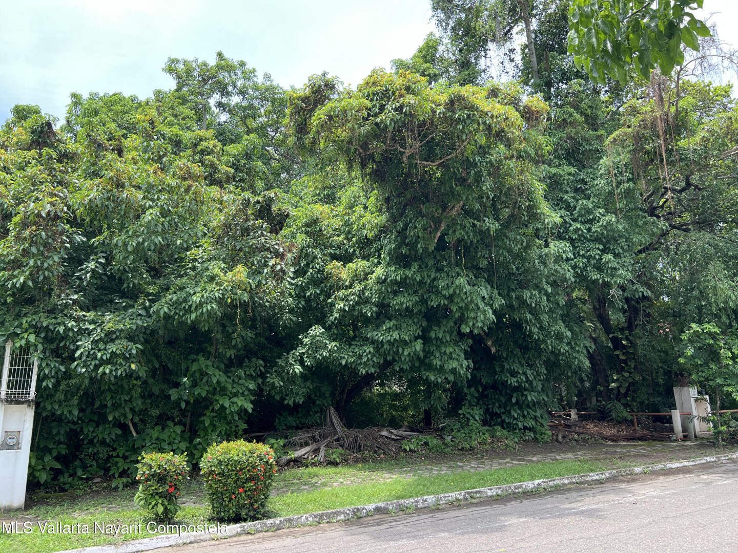 20250812201826161469000000-o