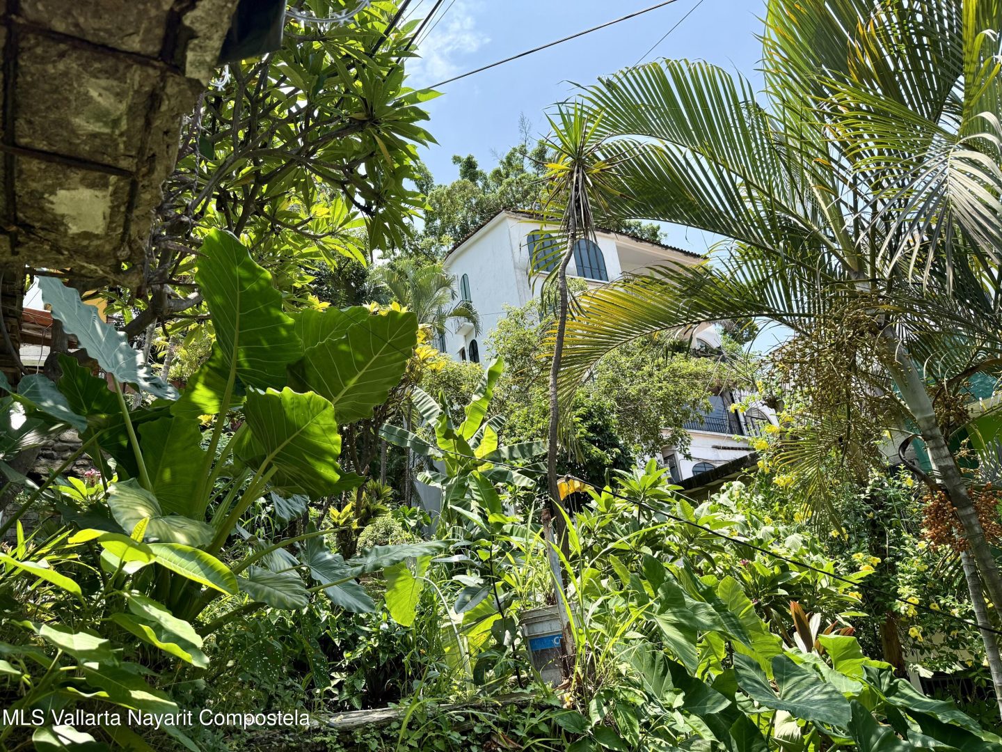 20250814233358570954000000-o