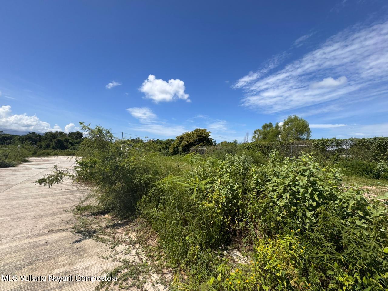 20250905180713537109000000-o