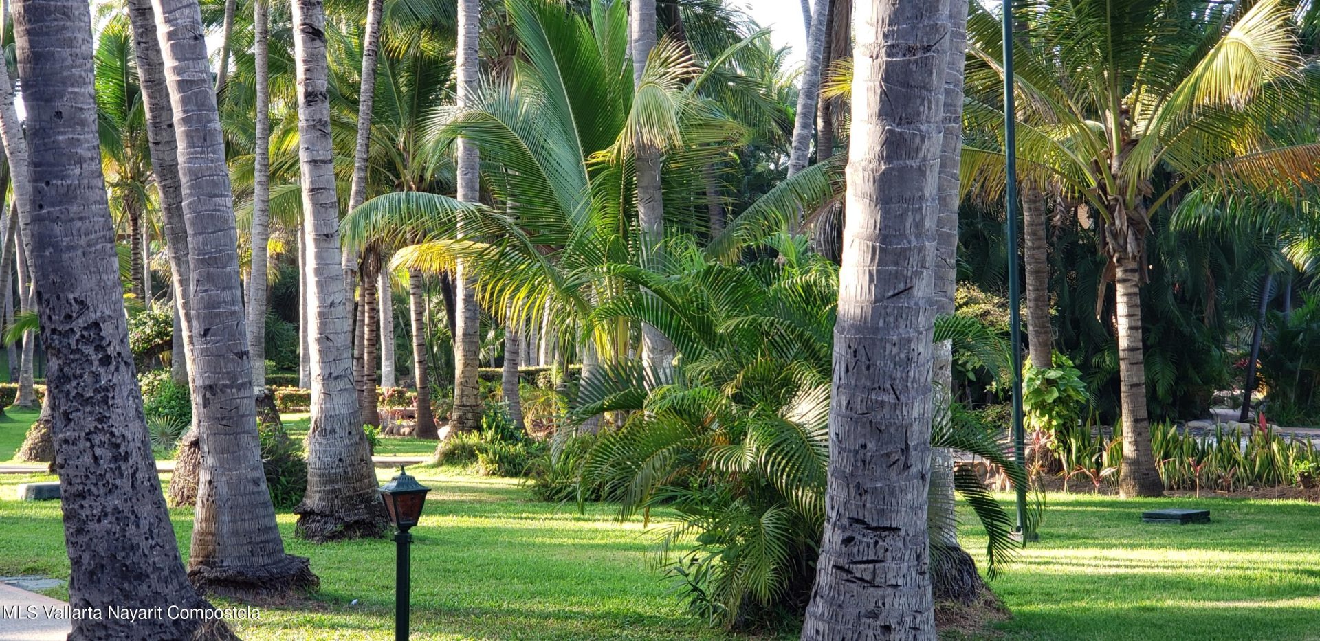 20251016003723333731000000-o