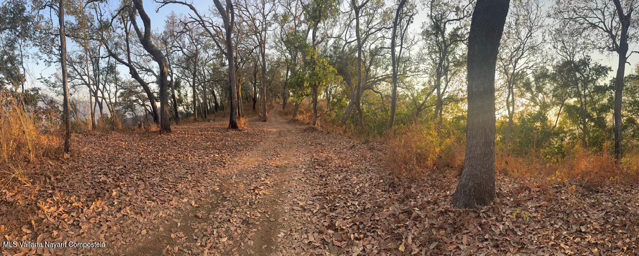 20251017001230470727000000-o