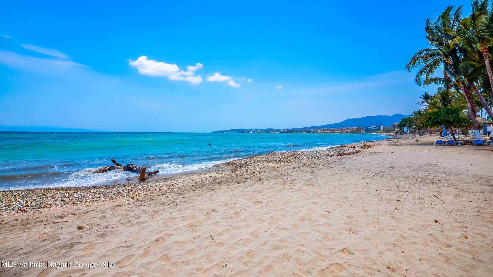 20251024184831146047000000-o