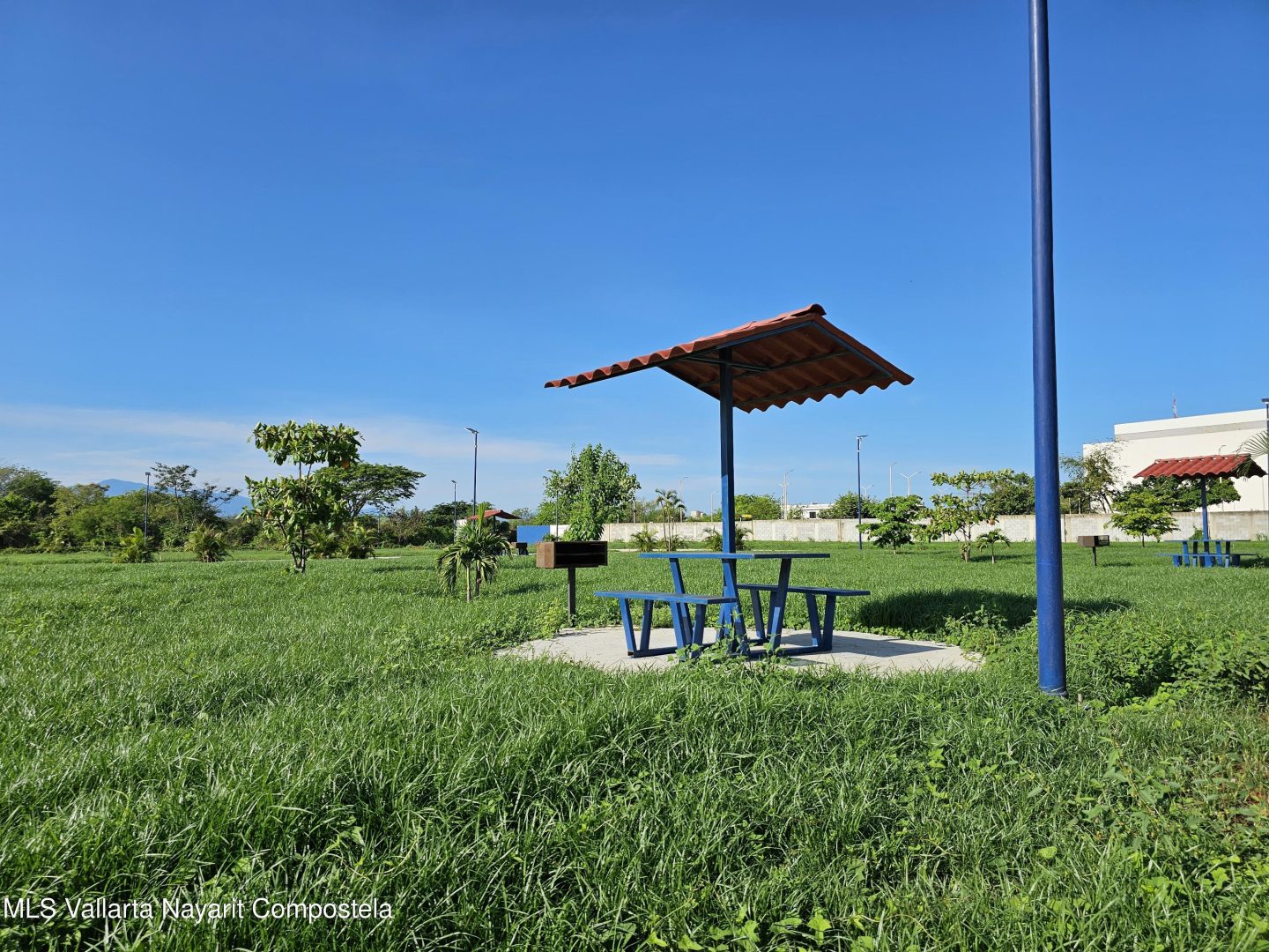 20251027223119676669000000-o