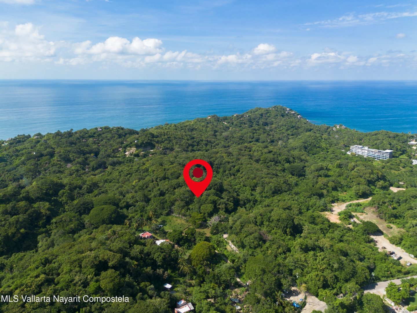 20251103195053784571000000-o