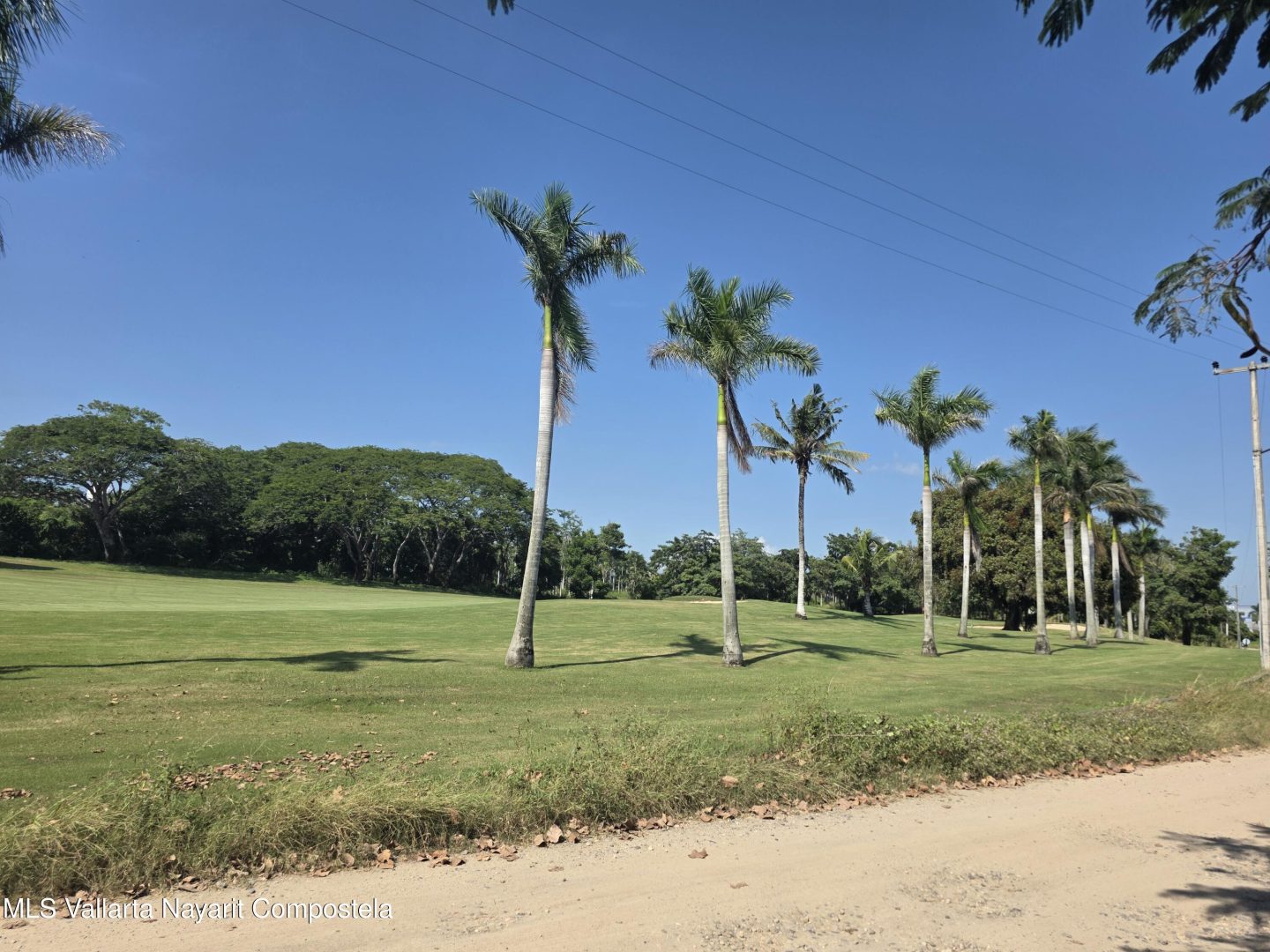 20251118234912253809000000-o