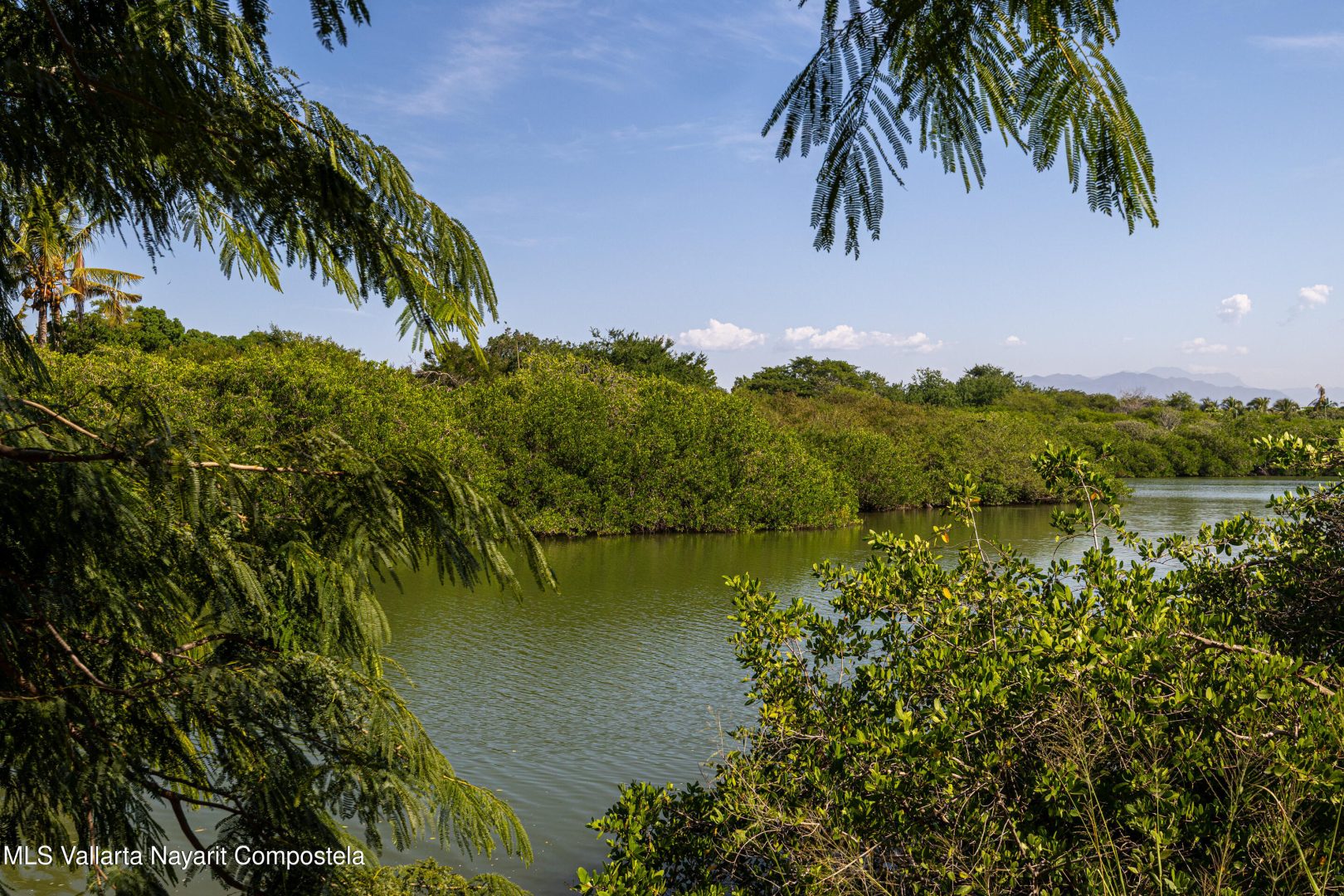 20251119025100686248000000-o