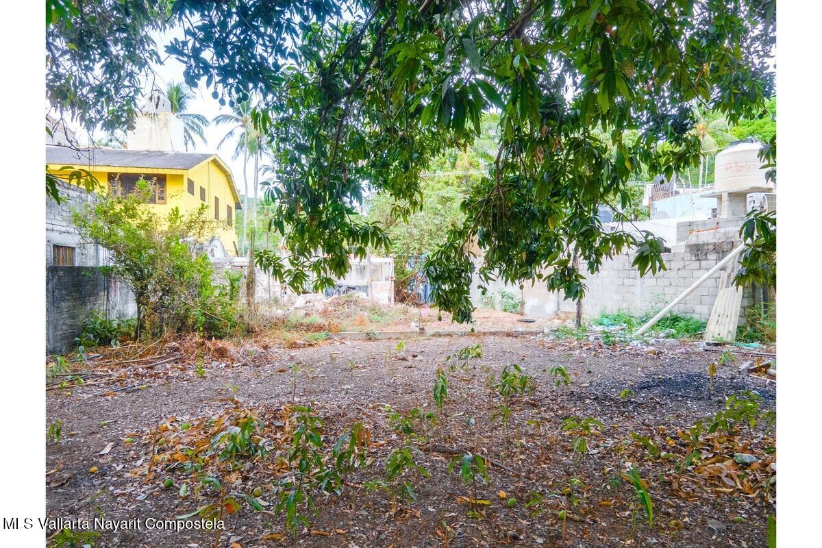 20251204222822013660000000-o