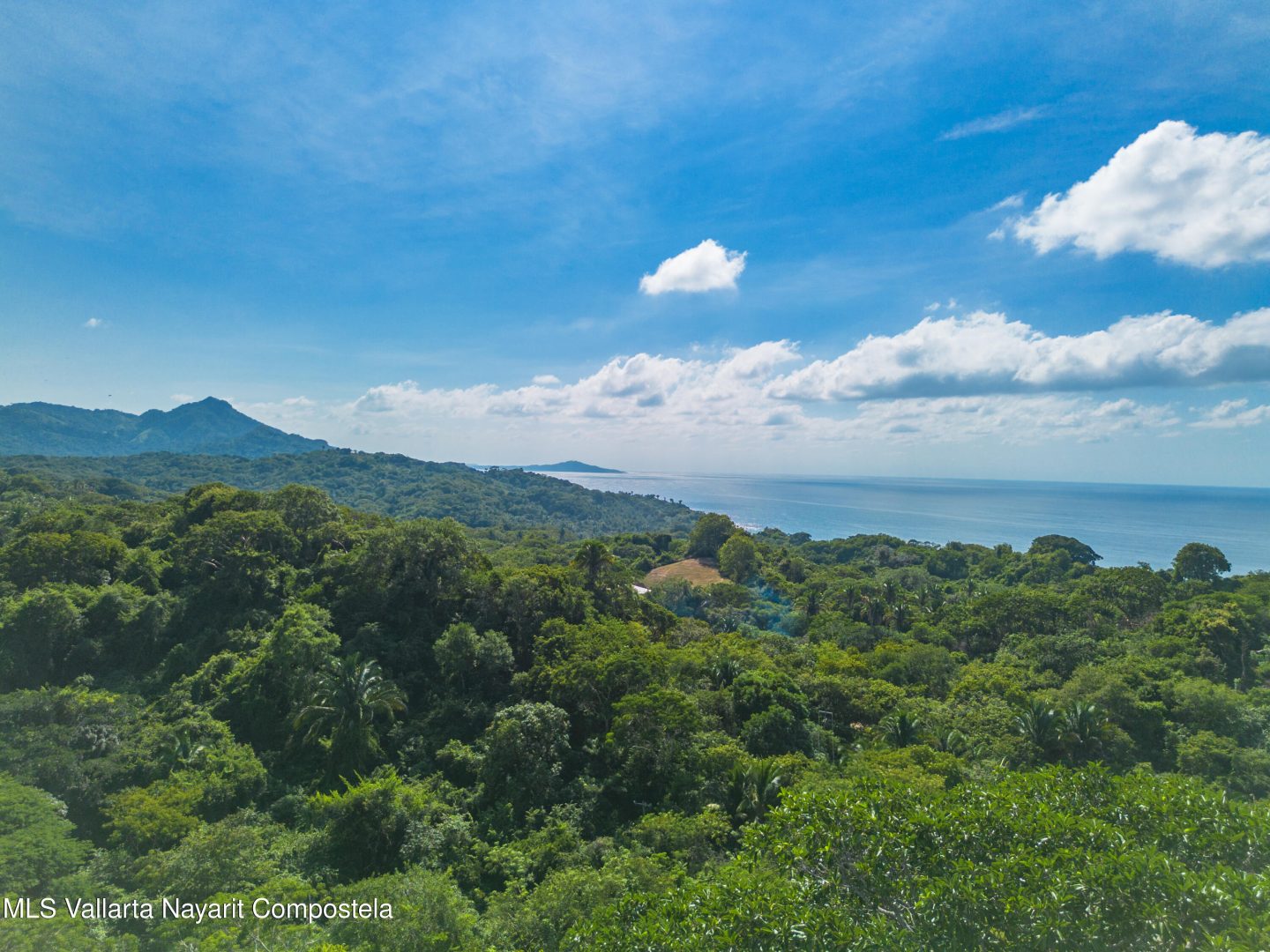 20251205172837556712000000-o