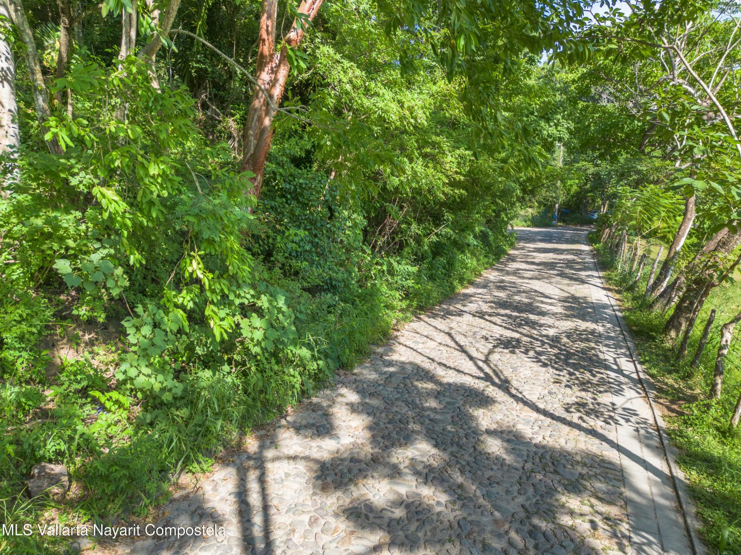 20251205172840823094000000-o