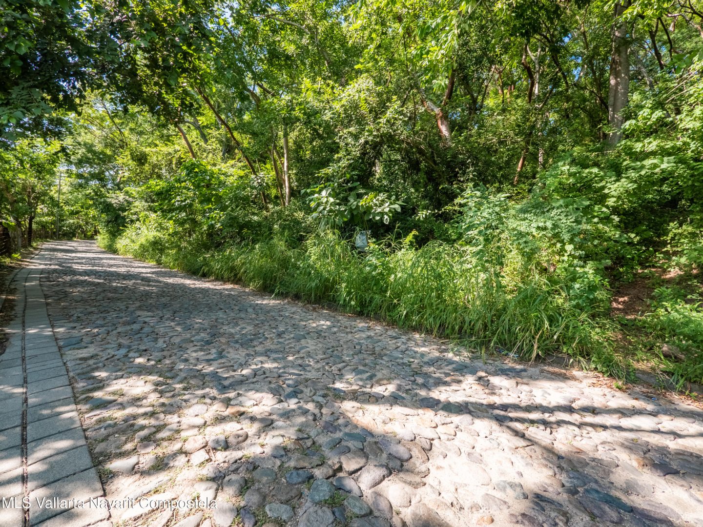 20251205172846117061000000-o