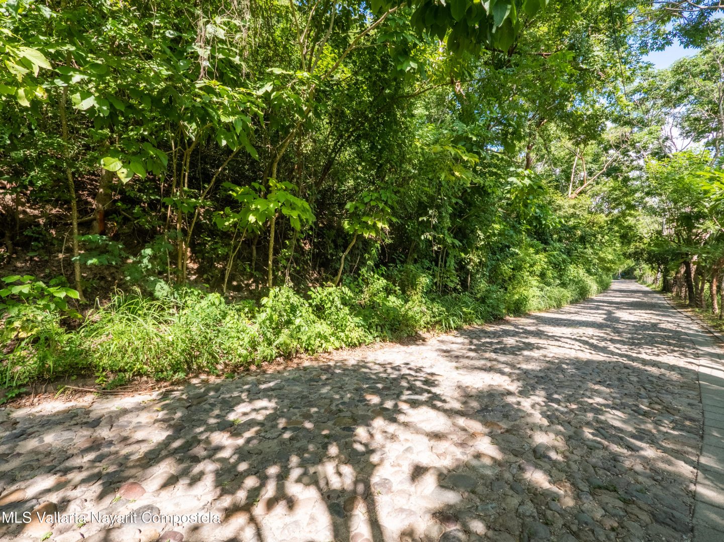 20251205172853666050000000-o