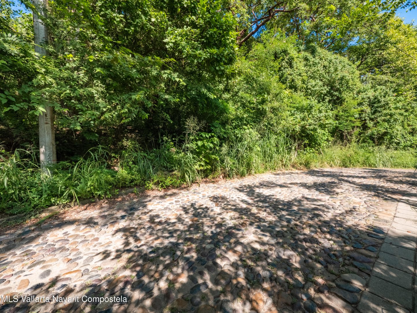 20251205172857287001000000-o