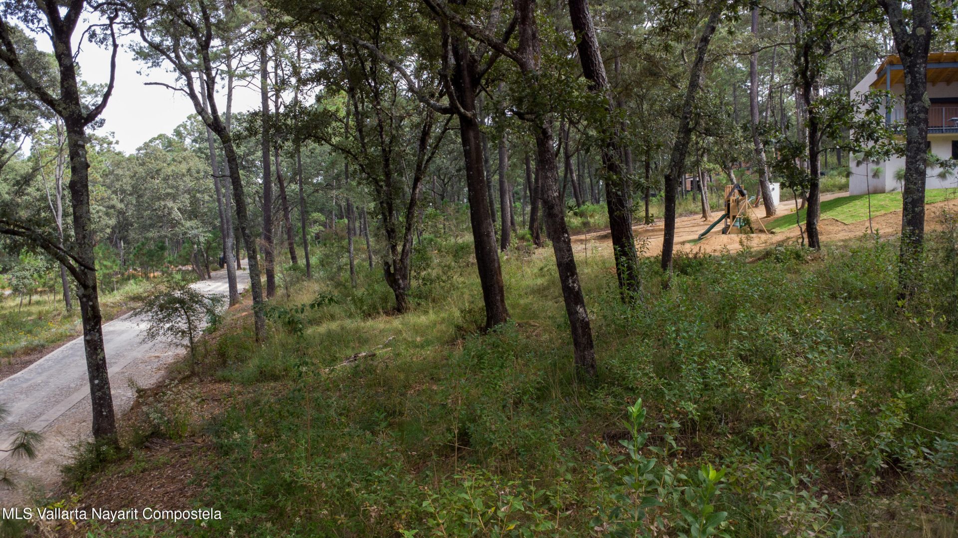 20251215230722580916000000-o