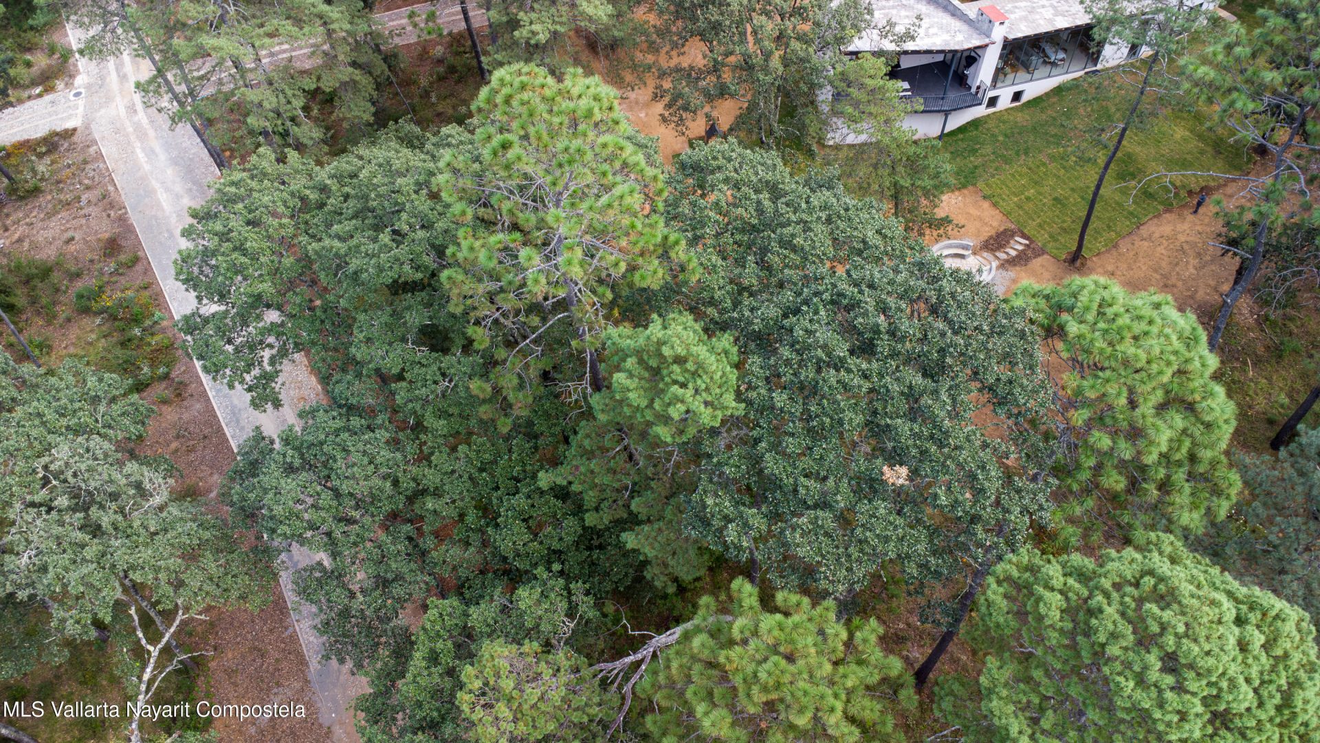 20251215230730513049000000-o