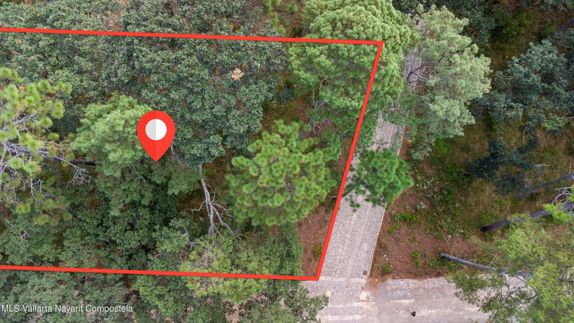 20251215230732972594000000-o