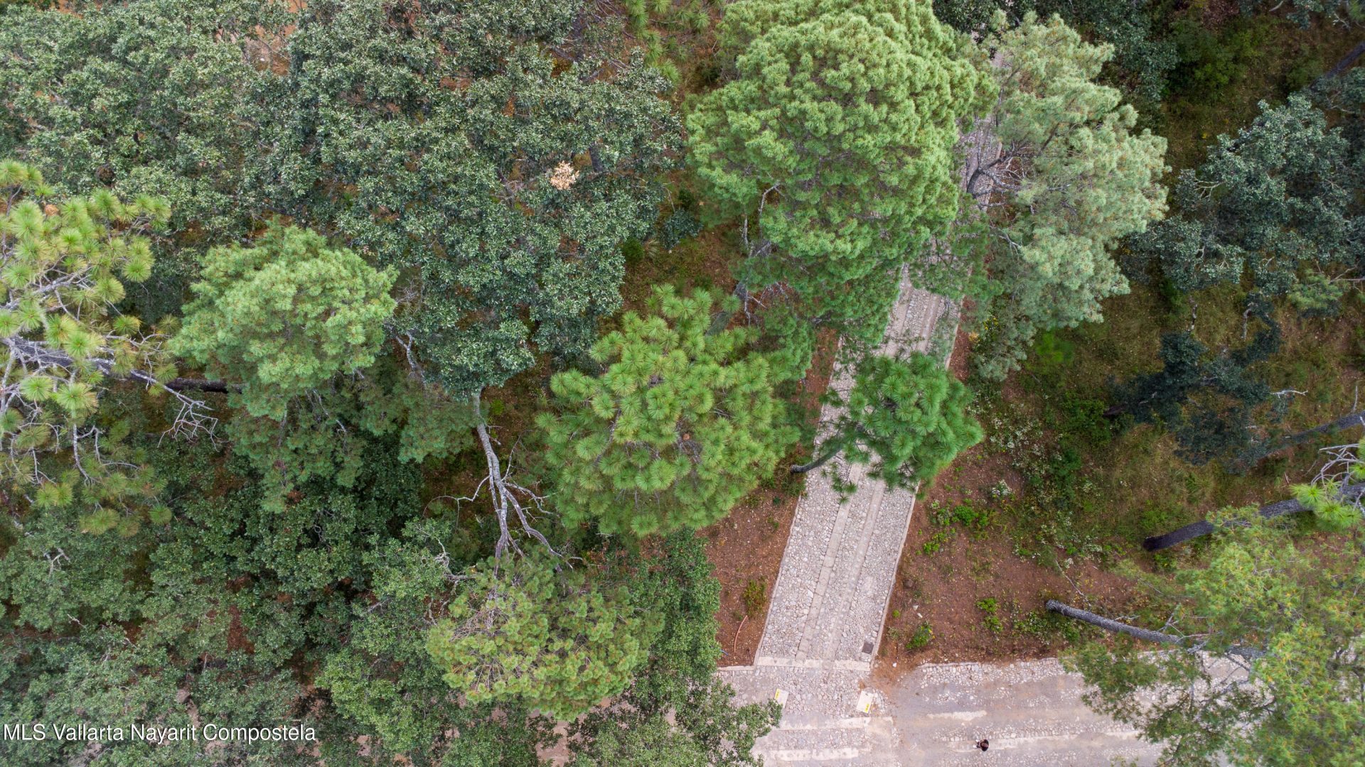 20251215230735355979000000-o