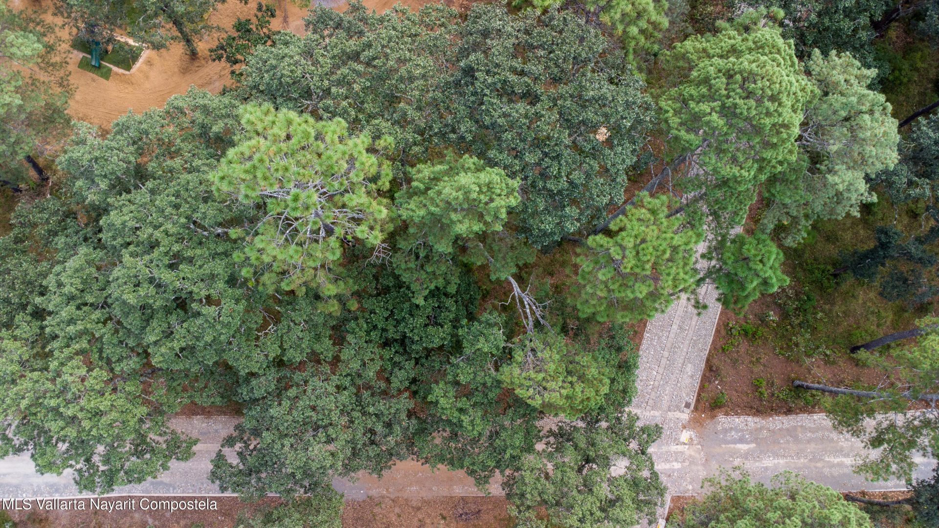 20251215230742873507000000-o