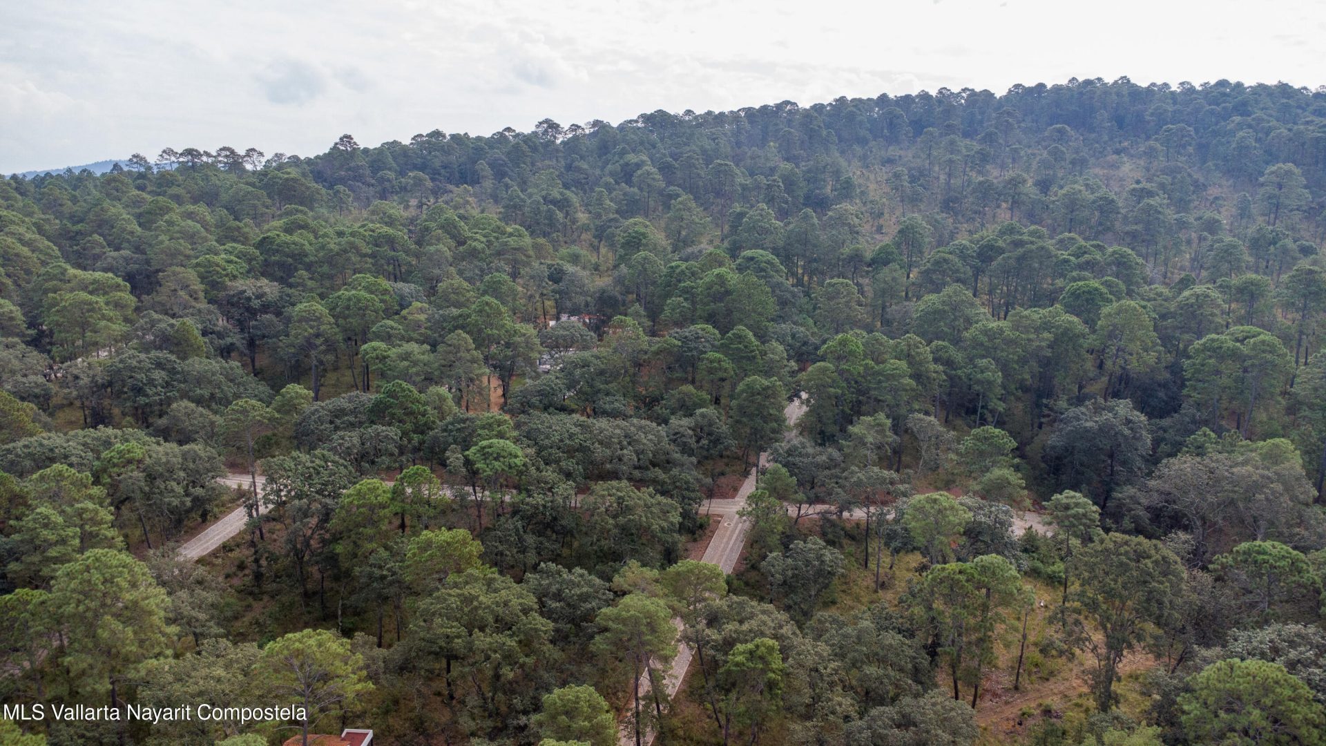 20251215230747255436000000-o