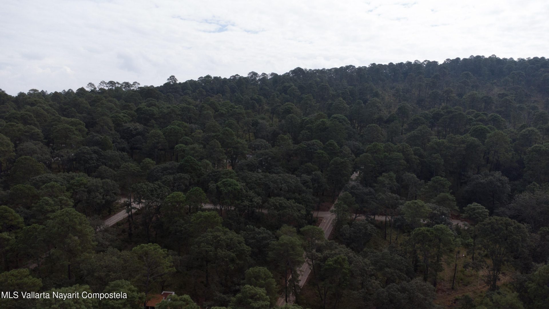 20251215230750769976000000-o