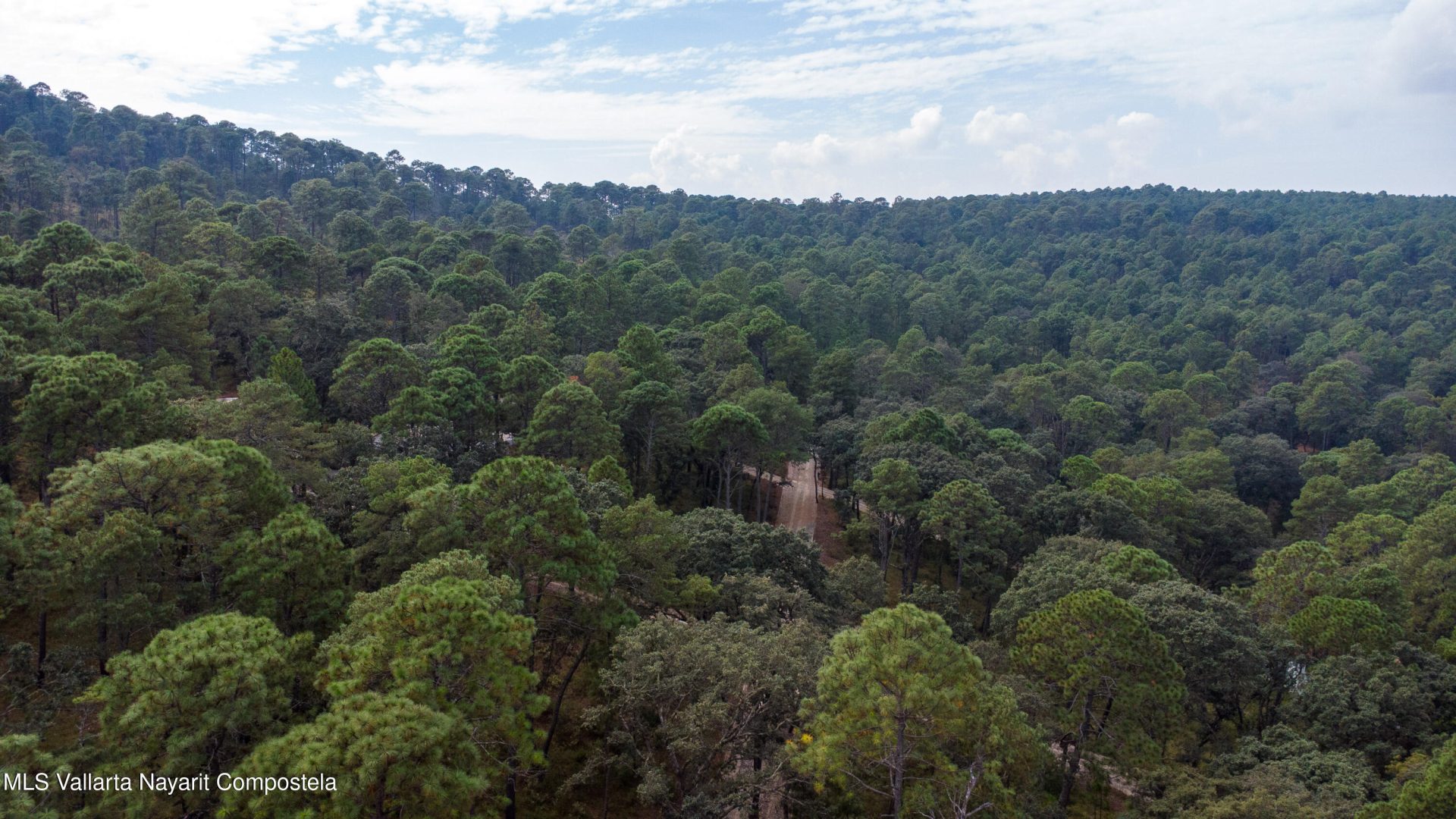 20251215230752733120000000-o