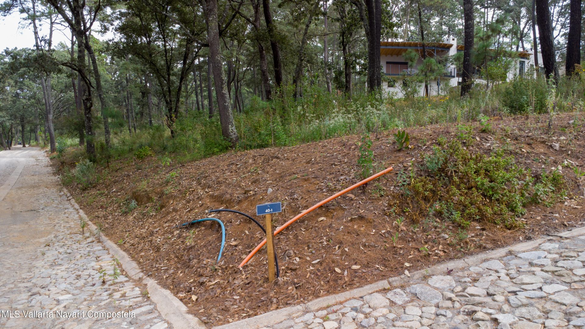 20251215230754928321000000-o