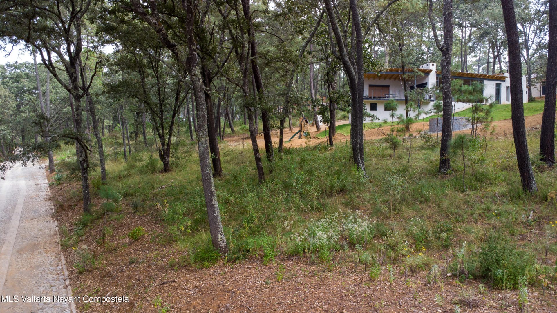 20251215230757465981000000-o