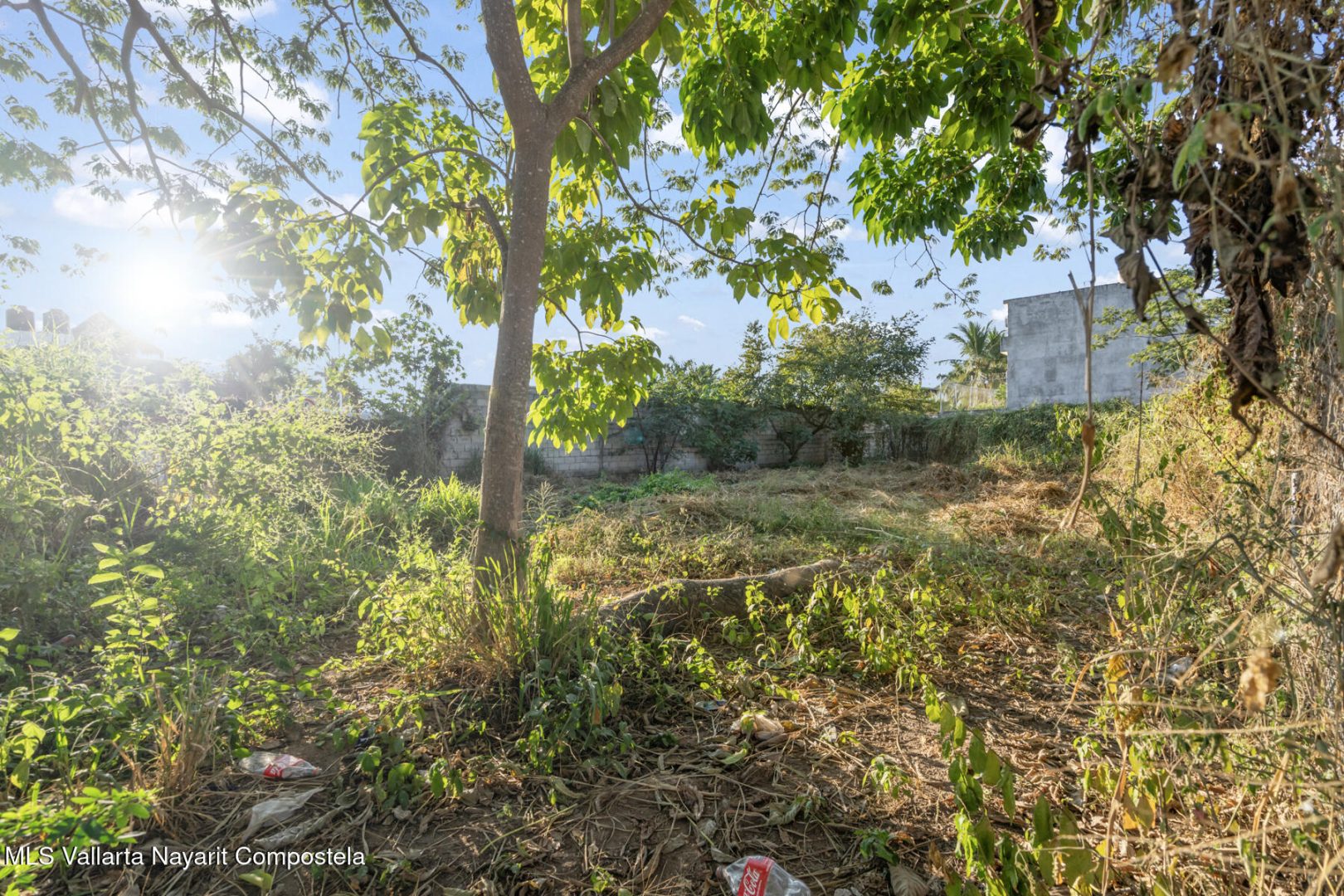 20251218162409825896000000-o