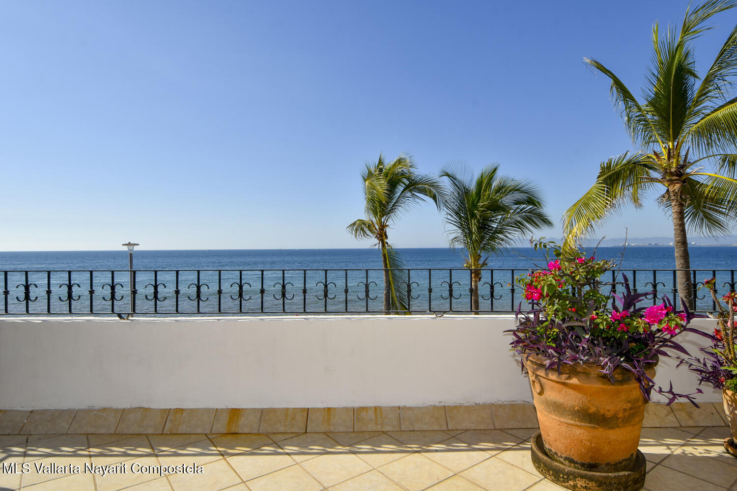 20251223011651826244000000-o