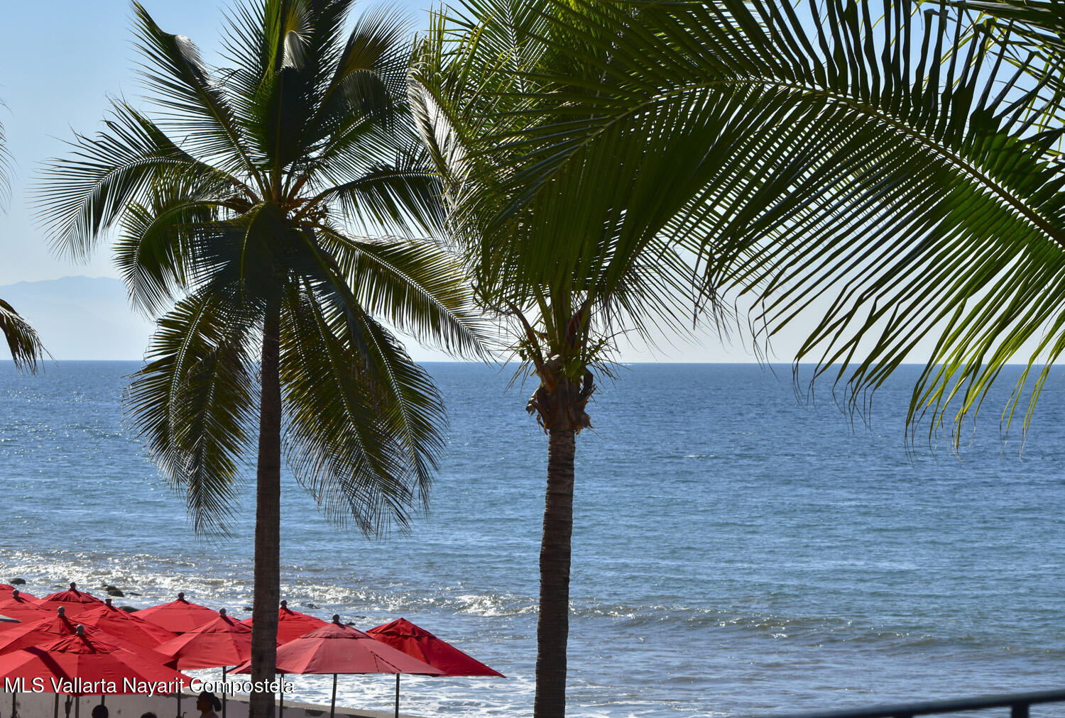 20251223011715696537000000-o