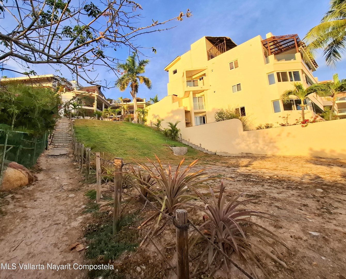 20250120172103117003000000-o