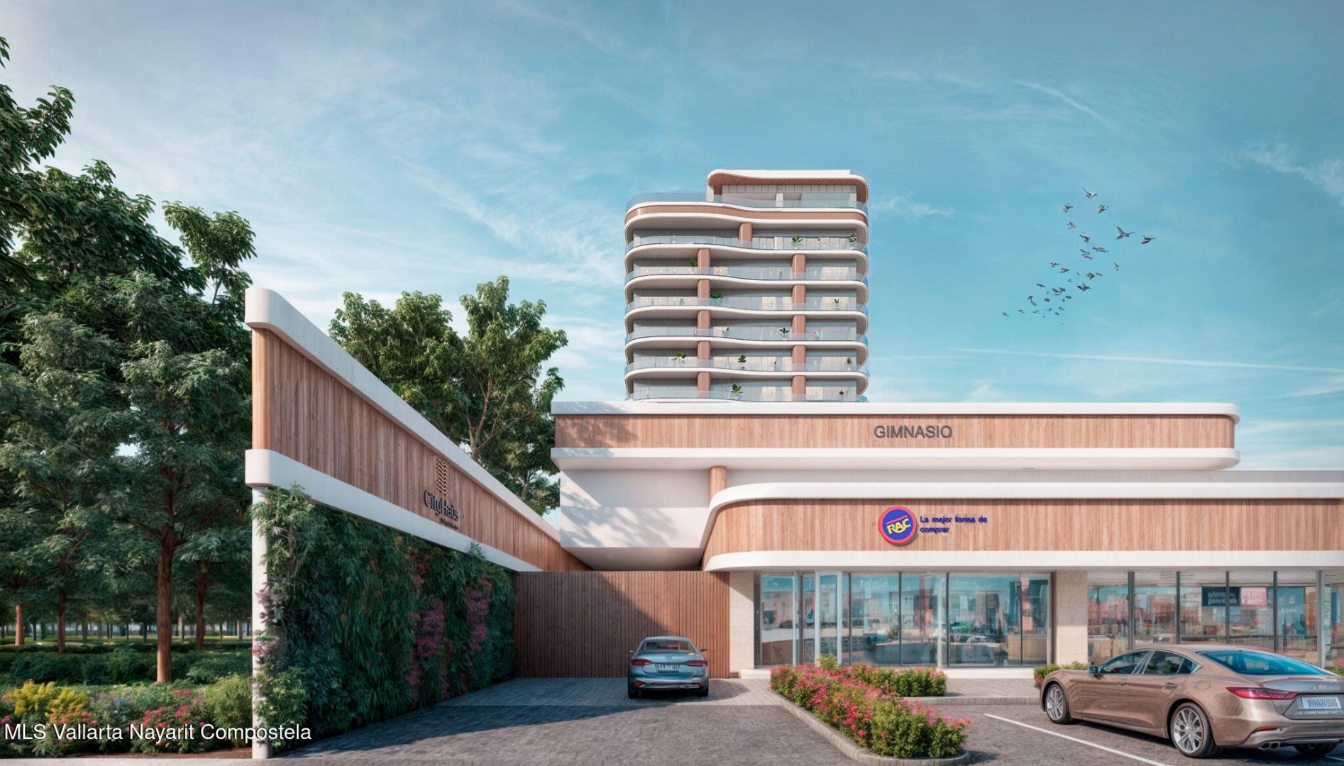 20250219215158644262000000-o