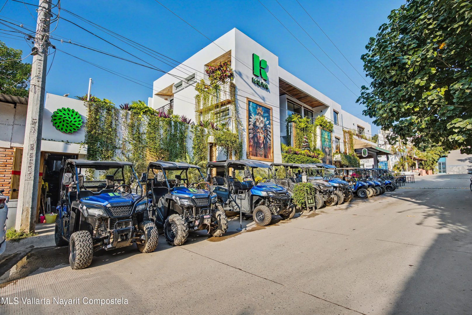 20251231192618337281000000-o