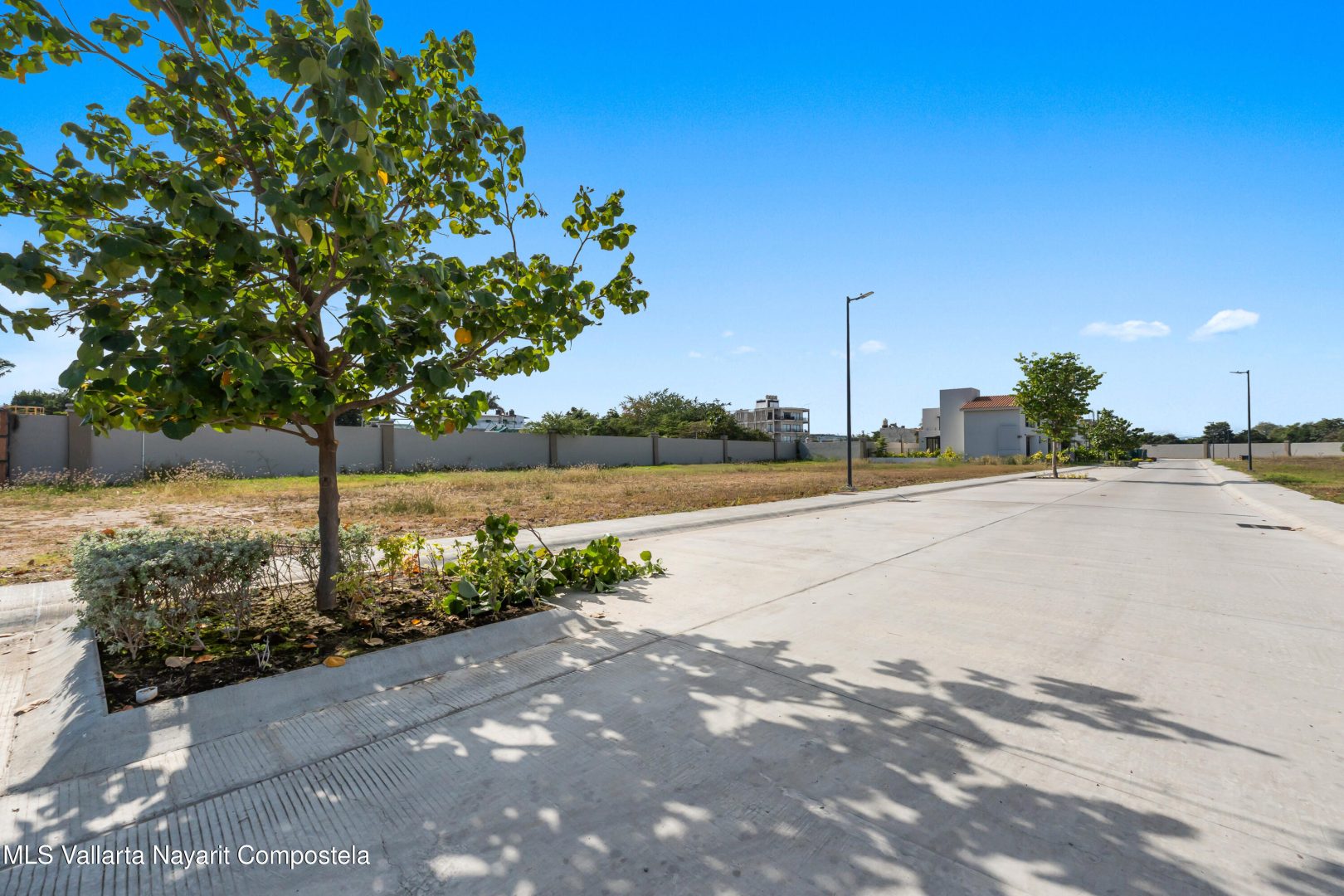 20260119183518396205000000-o