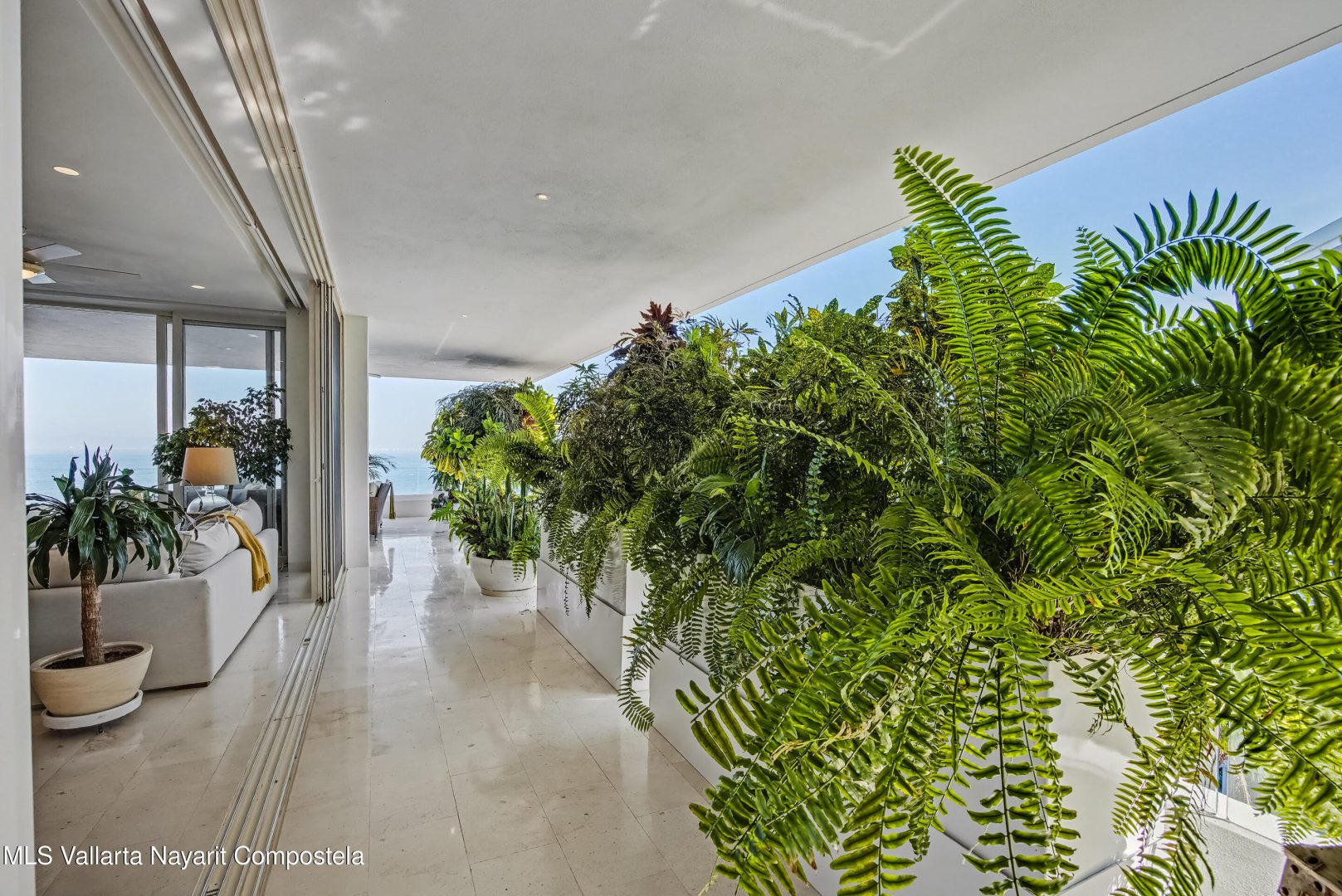 20260123064902662201000000-o