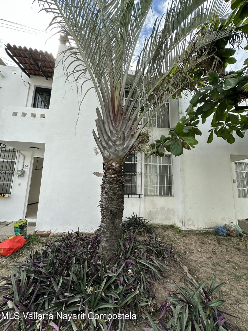 20260123184635184555000000-o