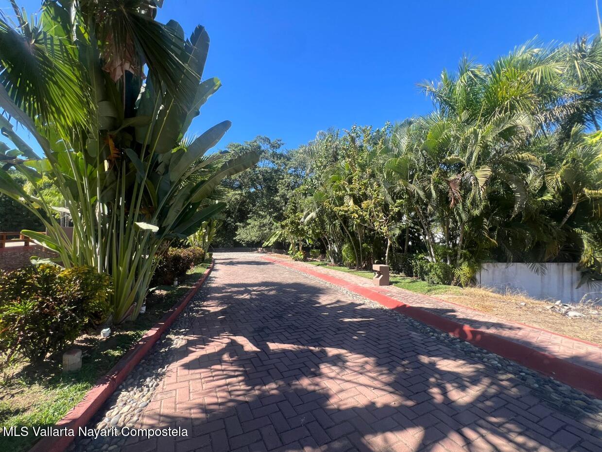 20260127173702599037000000-o