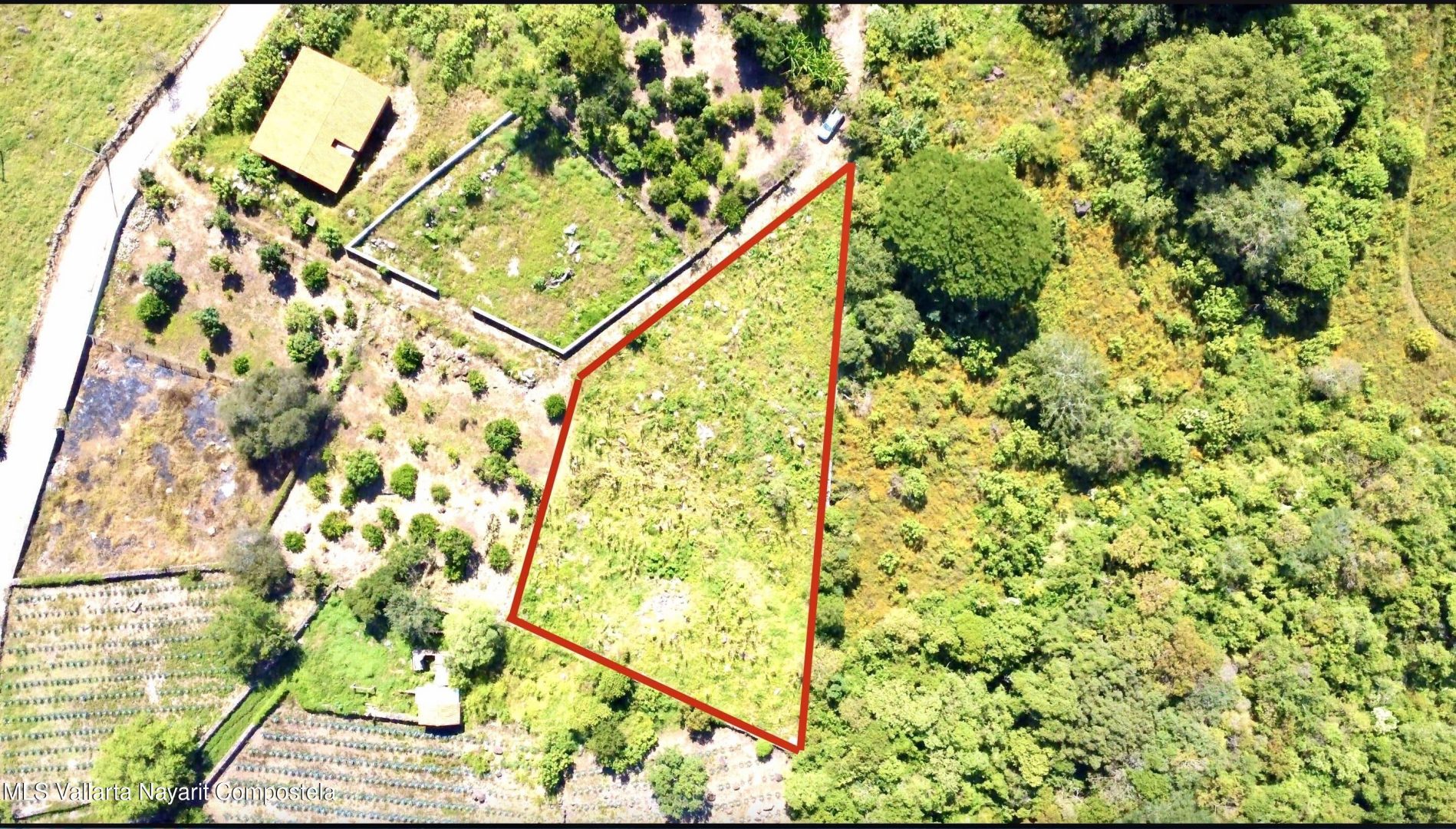 20260130012109402815000000-o