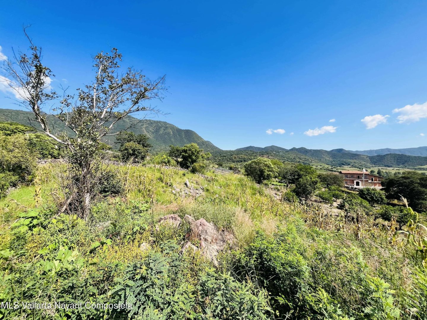 20260130012113999029000000-o