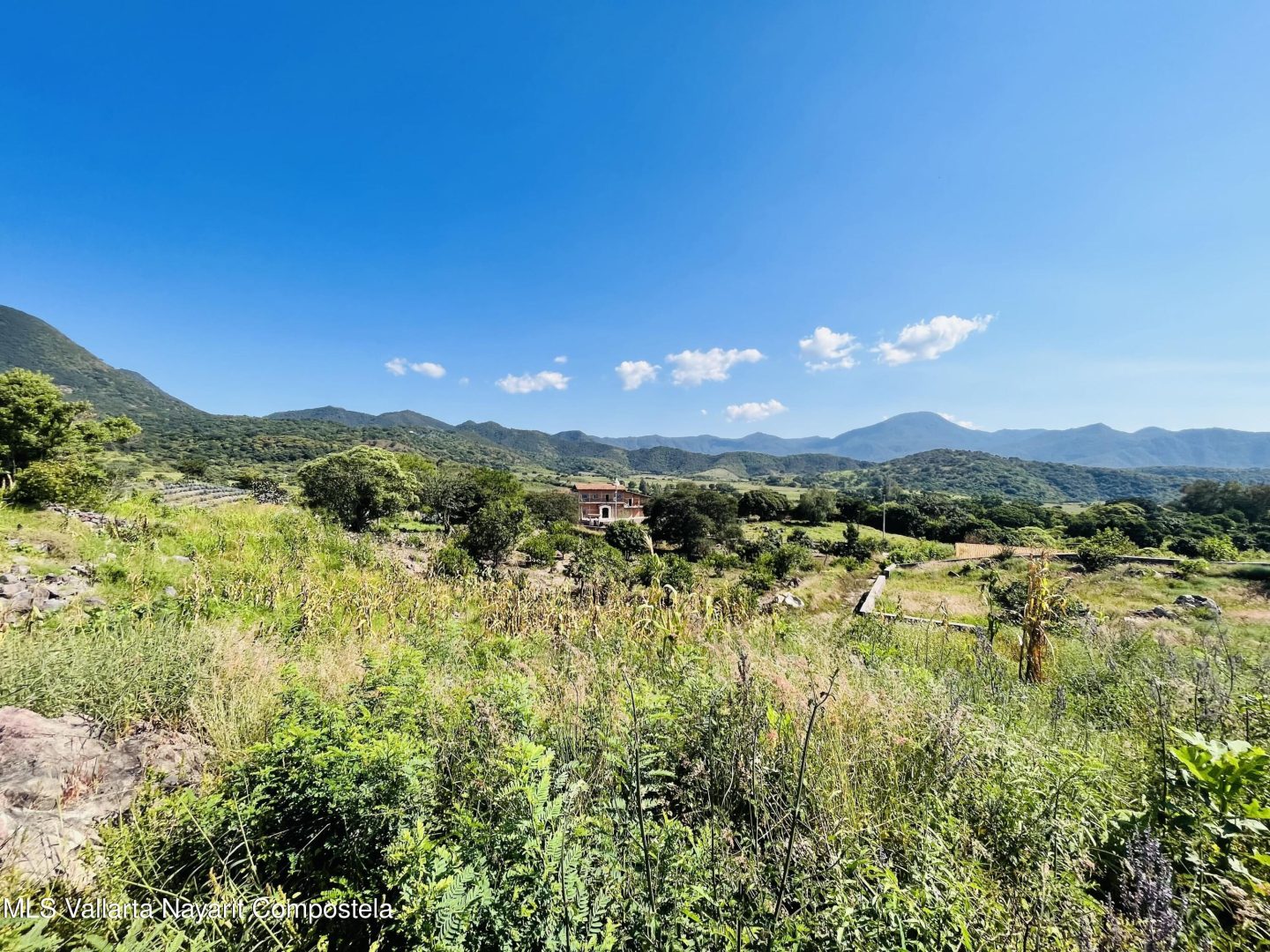 20260130012116963919000000-o