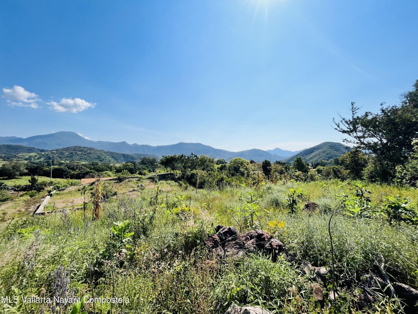 20260130012119302448000000-o