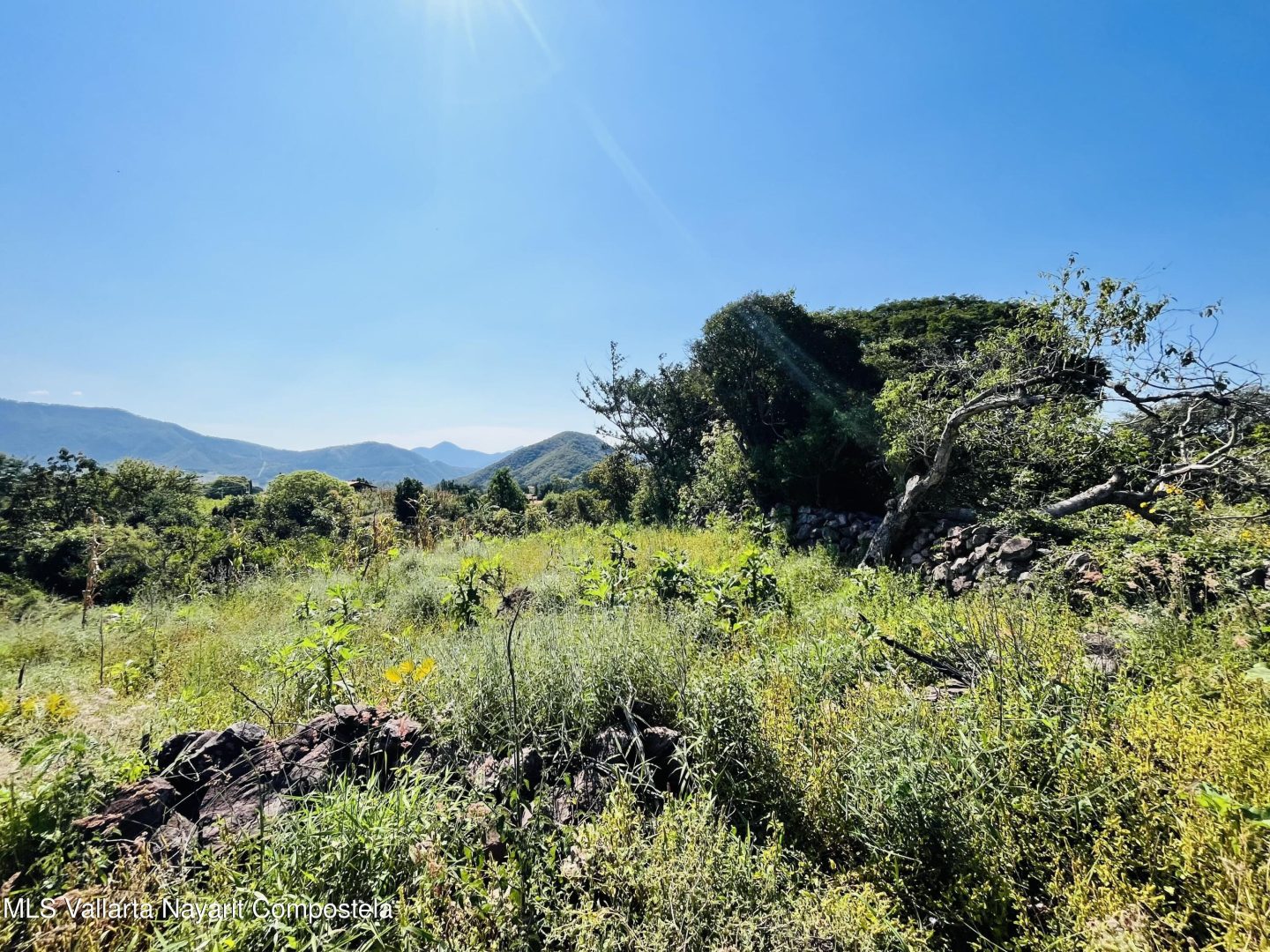 20260130012122545475000000-o