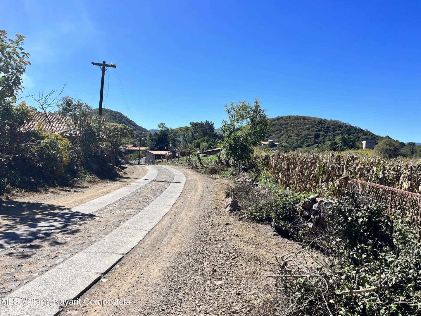 20260130012144936881000000-o