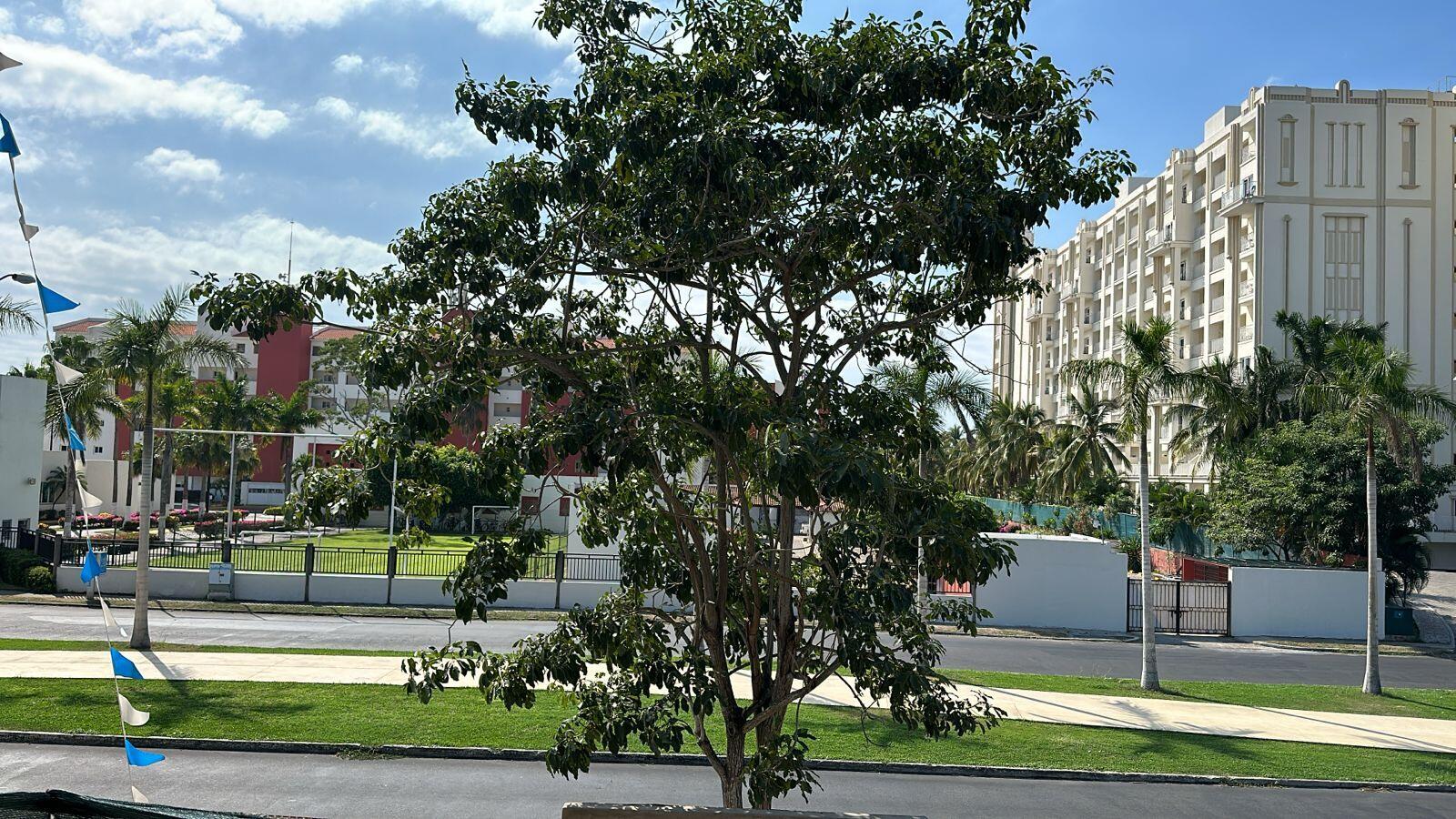 20231201153101228648000000-o