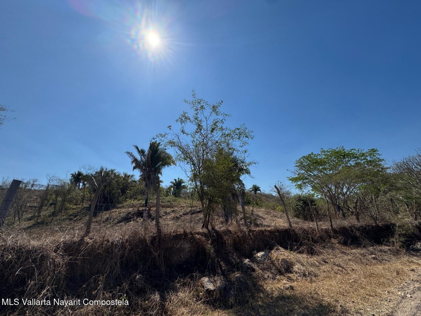 20250430003943605806000000-o