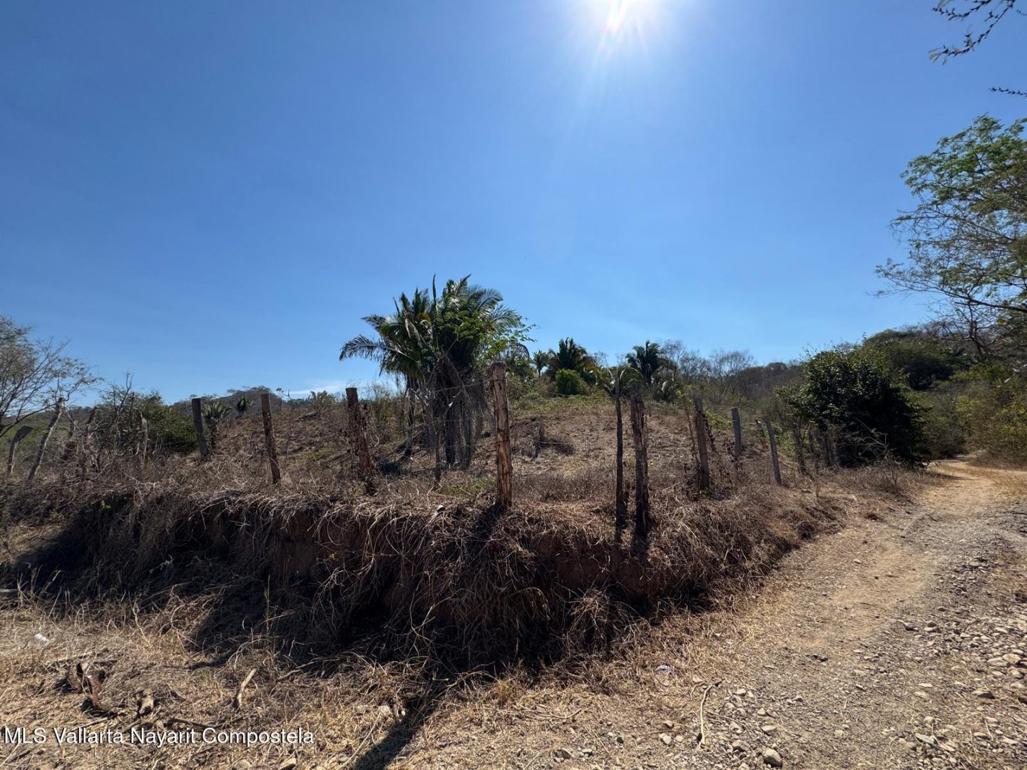 20250430003945102654000000-o