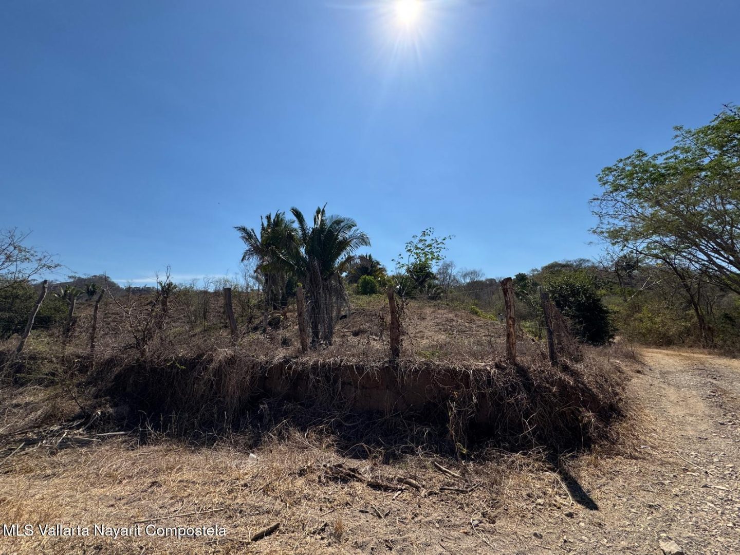 20250430003946361281000000-o